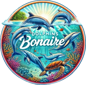 Dolphins Bonaire