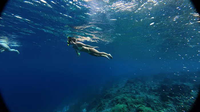 Snorkel Tour